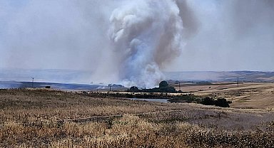 Hayrabolu'da çıkan anız yangını söndürüldü