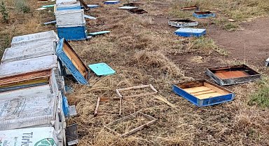 Hayrabolu'da hortum, arı kovanlarına zarar verdi: 163 kovan devrildi