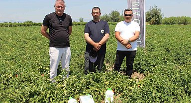 Hem hastalıklardan kurtuldular hem verimi artırdılar