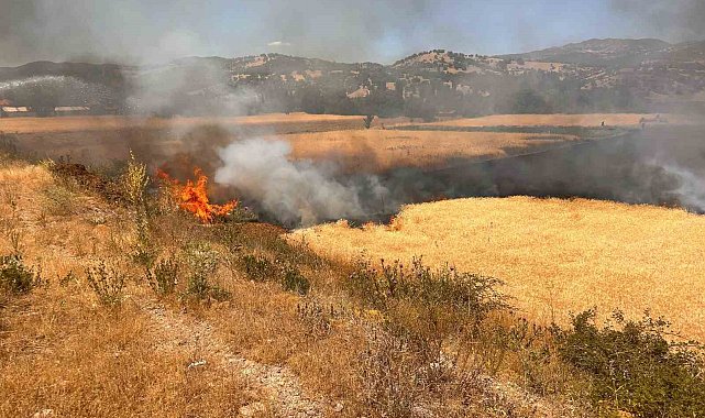 Hisarcık'ta biçerdöver kaynaklı yangında 2,5 dekar ekili alan zarar gördü