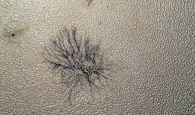 Hobi bahçelerinin kuyuları gölü kuruttu iddiası