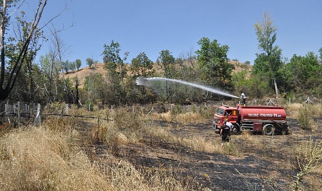 Hobi bahçesinde çıkan yangın 8 dönüm yulaf tarlasını küle çevirdi