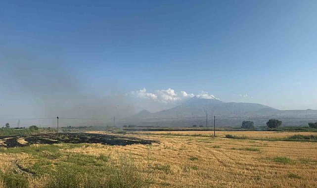 Iğdır'da çıkan anız yangını gün boyu sürdü