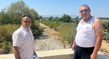 İkizdere Barajı'ndan su bırakılmadı, ağaçlar kurudu