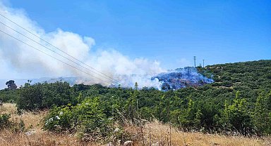 İnegöl'deki orman yangını kontrol altına alındı