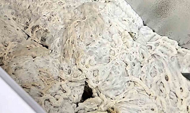 İşkembe görünümlü zula ekipleri şaşırttı