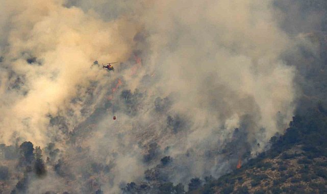 İspanya'da orman yangını: 2 bin 377 hektarlık alan yandı