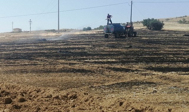 Isparta'da 30 dönümlük tarla yanarak kül oldu