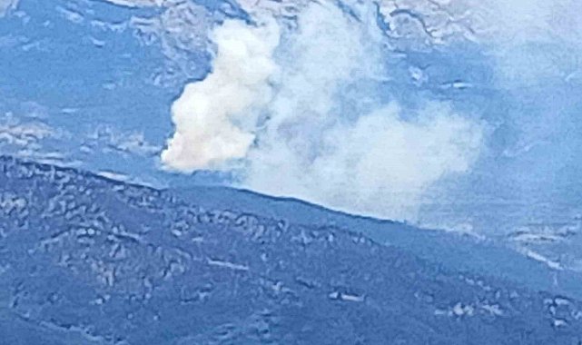 Isparta'da ormanlık alanda yangın