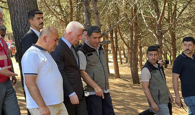 İstanbul Valisi Davut Gül, Sultangazi Kent Ormanı'nda incelemelerde bulundu: "Yangın kontrol altına alındı"