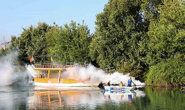 İstilacı tür olarak biliniyor, yumurtaları altı ay kuraklığa dayanabiliyor