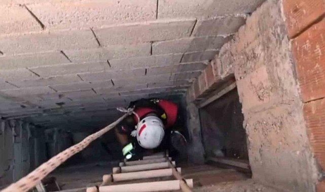 İtfaiyeden kedi kurtarma operasyonu