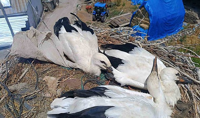 İtfaiyeden leyleğe uzanan şefkat eli