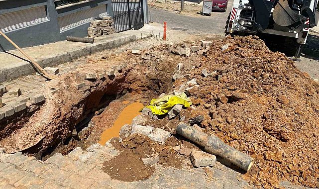 İzmir'de boşa akan su, domuzlara park oldu