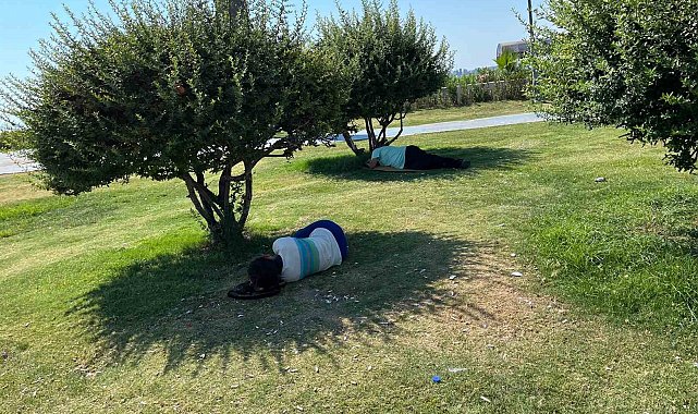 İzmir'de sıcak hava bunalttı, vatandaşlar ağaç gölgelerine kaçtı