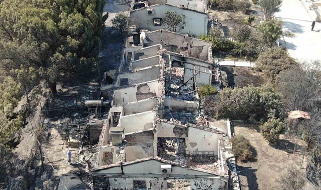 İzmir'deki yangında 85 yazlık ev küle döndü