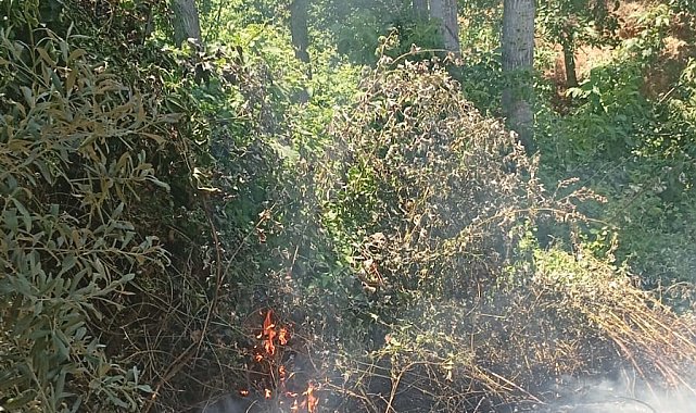 İznik'te orman yangını büyümeden söndürüldü