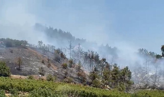 İznik'te orman yangını kontrol altına alındı
