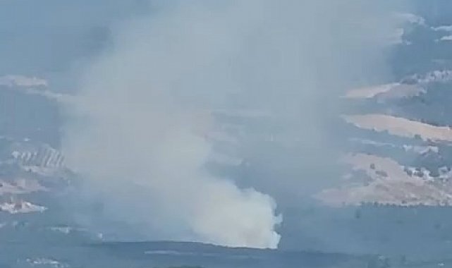 İznik'te orman yangını