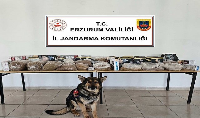 Jandarmadan kaçakçılara operasyon