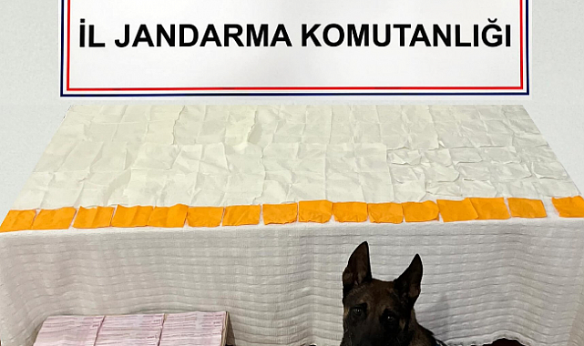 Jandarmanın uyuşturucu operasyonunda 60 bin kullanımlık bonzai ele geçirdi