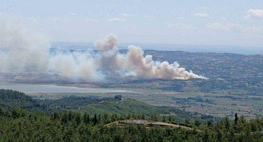 Kahramanmaraş'ta orman yangını