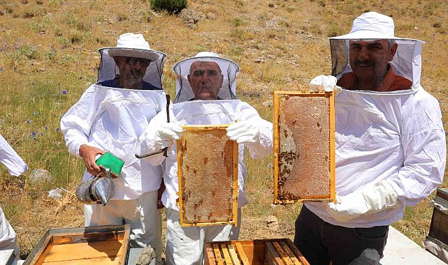 Kahramanmaraş'taki Engizek Yaylası'nda bal mesaisi