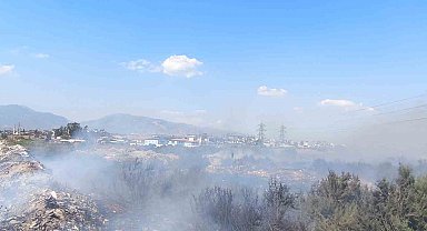 Kanal kenarında çıkan yangın rüzgarla geniş alana yayıldı