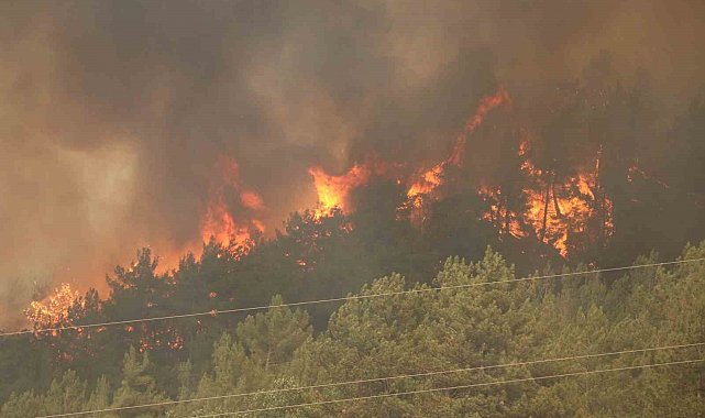 Karabük'te 29 saattir süren orman yangını yeniden alevlendi