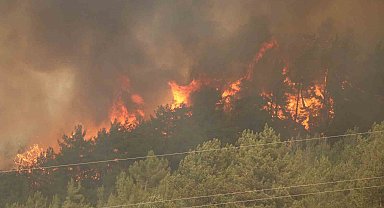 Karabük'te 29 saattir süren orman yangını yeniden alevlendi