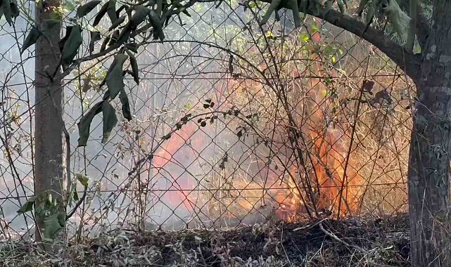 Karabük'te çıkan anız yangınında 25 dönüm alan zarar gördü
