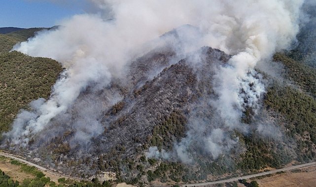Karabük'te orman yangını