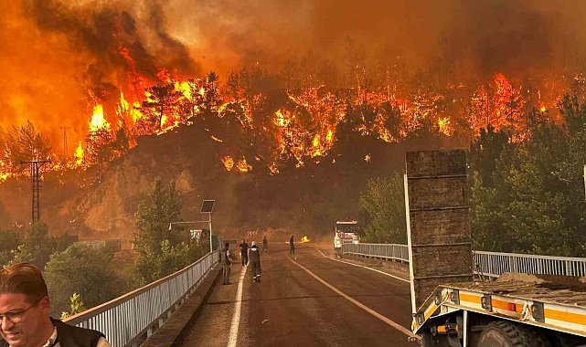 Karabük'te orman yangınında korkutan manzaralar