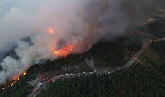 Karabük'te yeni orman yangını
