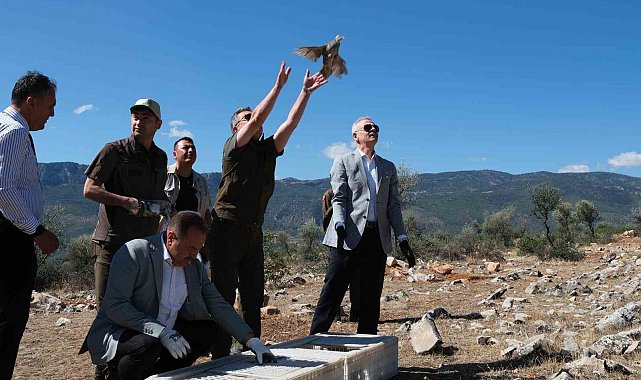 Karaman'da doğaya 500 kınalı keklik salındı