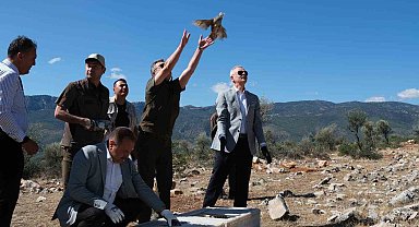 Karaman'da doğaya 500 kınalı keklik salındı