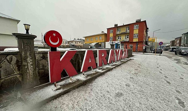 Karayazı'da dolu yağışı etkili oldu