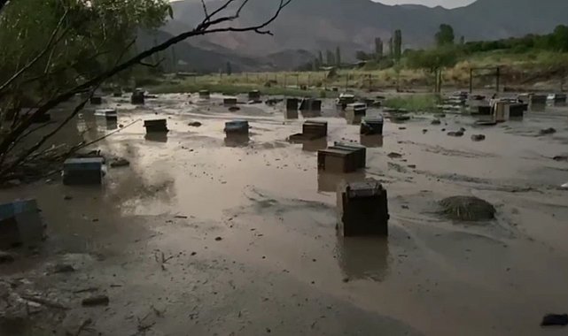 Kars'ta sel felaketi: Arı kovanları sular altında kaldı