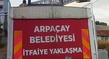 Kars'ta yuvadan düşen yavru leylek, yeniden yuvasına konuldu