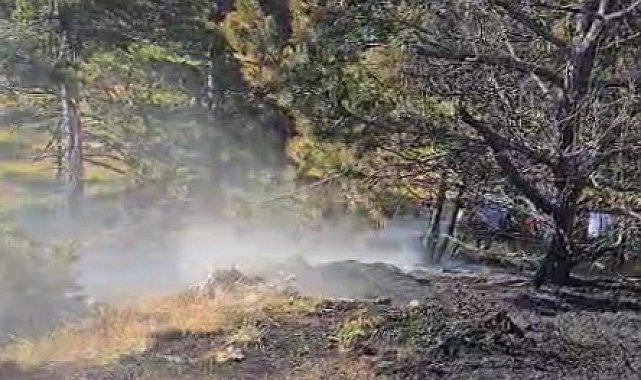 Kastamonu'da ormanlık alanda çıkan yangın büyümeden söndürüldü