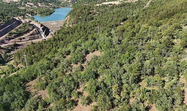 Kaybolan hayvanlar için dronla umut arayışı
