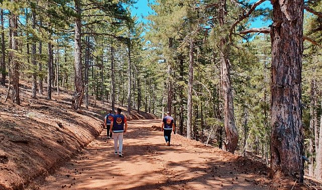 Kayseri'de ormanlar jandarma tarafından korunuyor