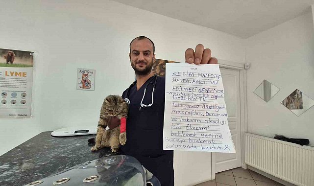 Kediyi not yazıp çanta içinde veteriner kiliğinin kapısına bıraktılar