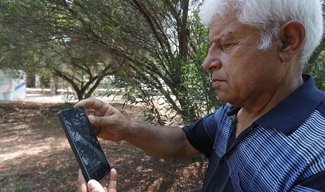 Kemer sahilinde asılsız dev köpekbalığı paylaşımına suç duyurusu