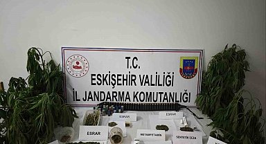 Kenevir bitkisi ekimi yapılan ikamete operasyon düzenledi