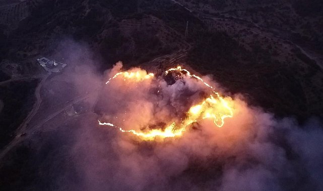 Keneyi yakmak isterken ormanı yaktı