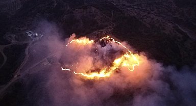 Keneyi yakmak isterken ormanı yaktı