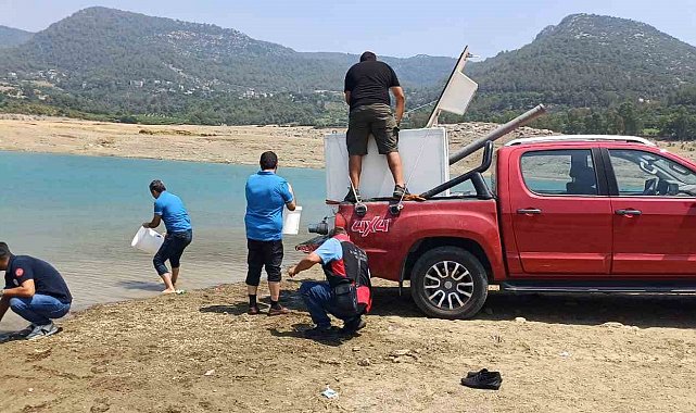 Kilgen Barajı'na 321 bin yavru sazan, baraja bırakıldı