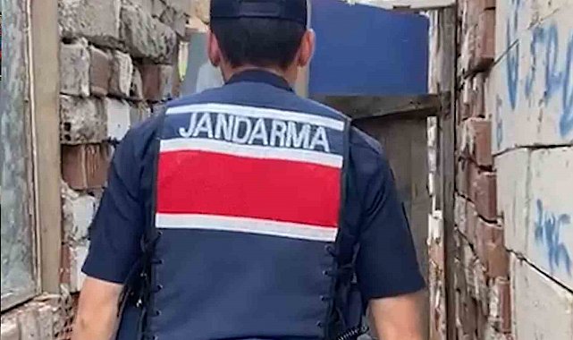 Kırıkkale'de evin bahçesinde bin 53 kök kenevir ele geçirildi: 2 gözaltı