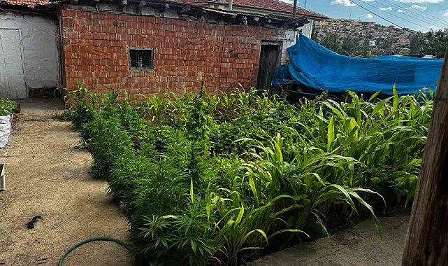 Kırıkkale'de uyuşturucu operasyonu: Aynı aileden 3 şüpheliye gözaltı